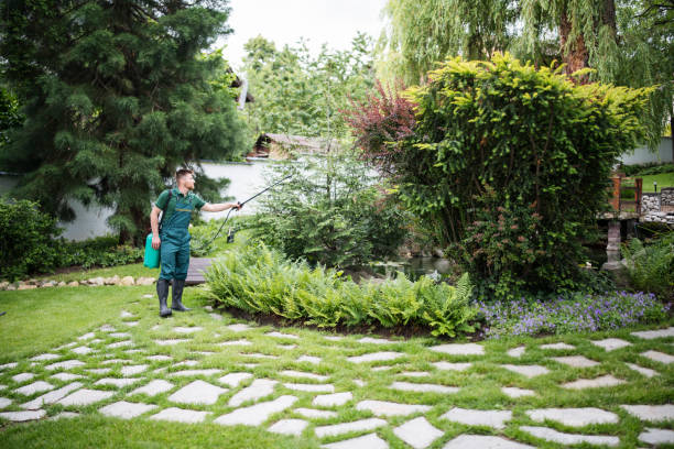 Best Mosquito Control Services  in Parks, AZ