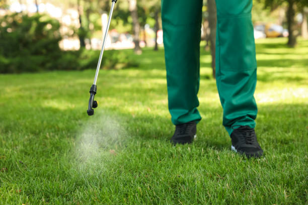 Best Pest Prevention Services  in Parks, AZ
