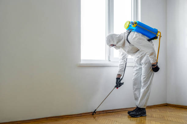 Best Flea Control Services  in Parks, AZ