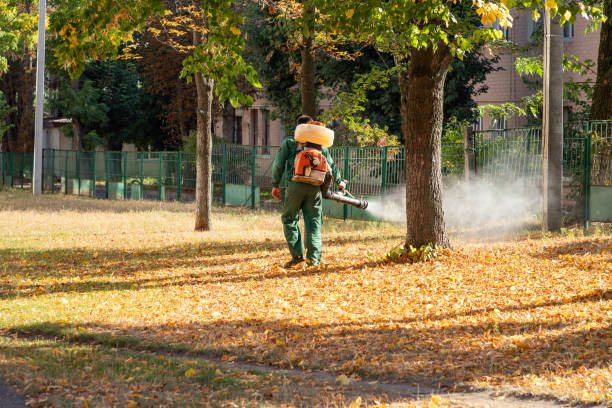 Bird Control in Parks, AZ