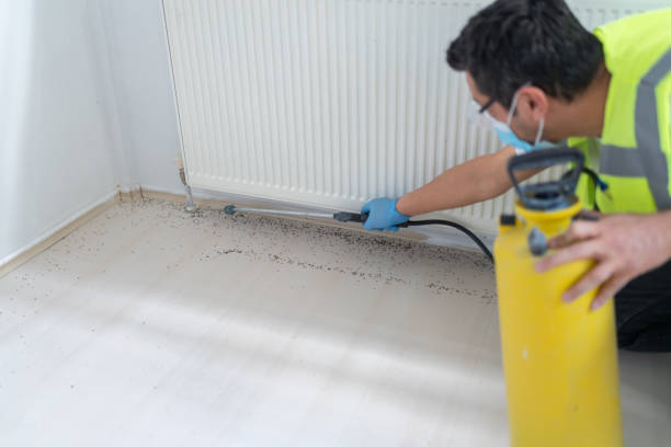 Best Best Pest Control Companies  in Parks, AZ