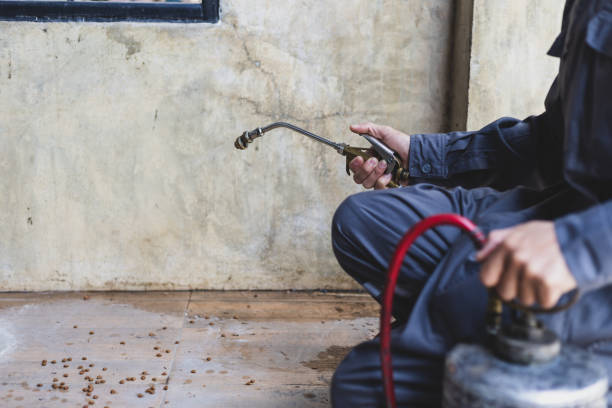 Best Best Pest Control Companies  in Parks, AZ